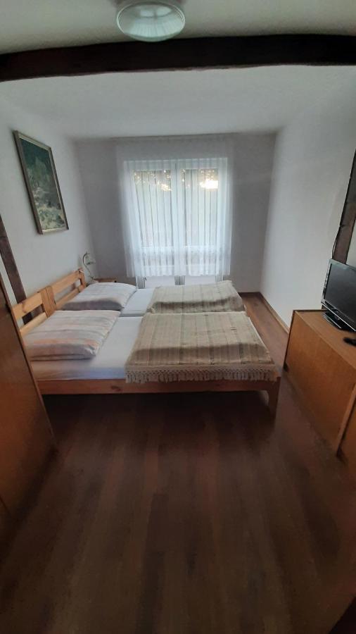 Pod Debem Zarnowska